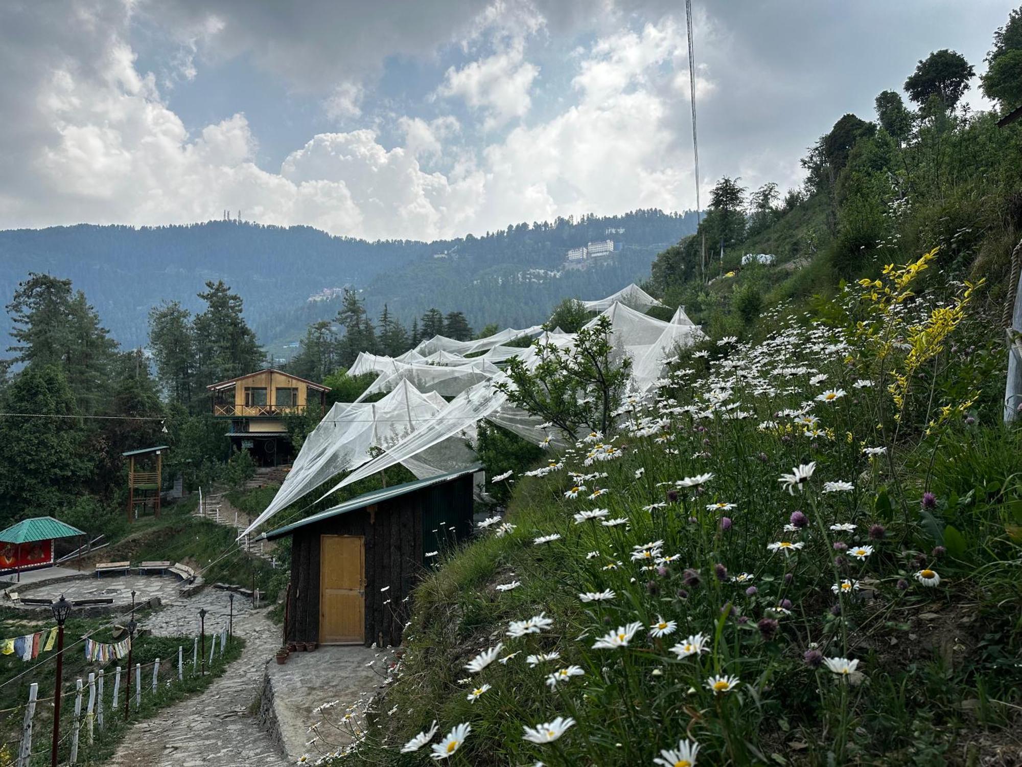 Daak Bangla Retreat Hotel Куфри Екстериор снимка