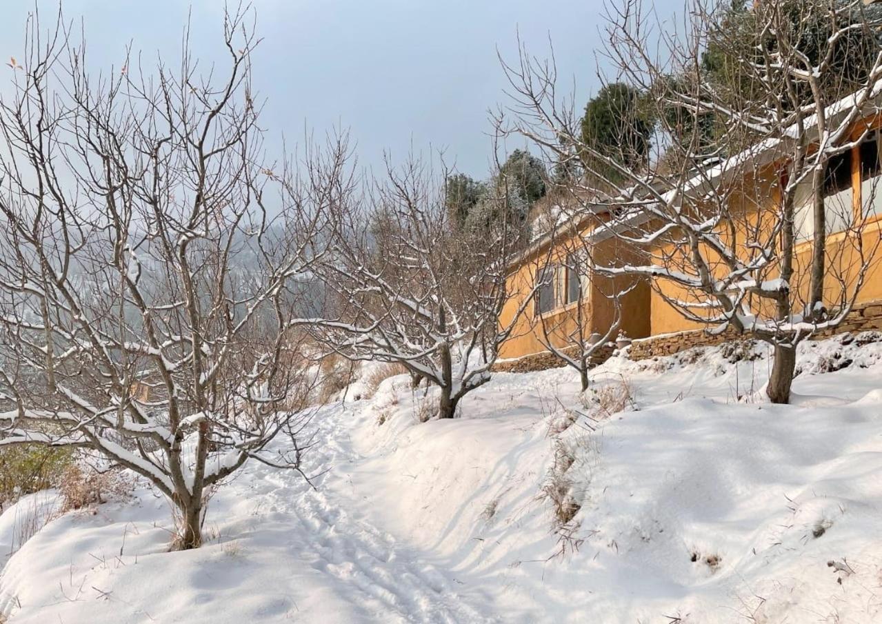 Daak Bangla Retreat Hotel Куфри Екстериор снимка